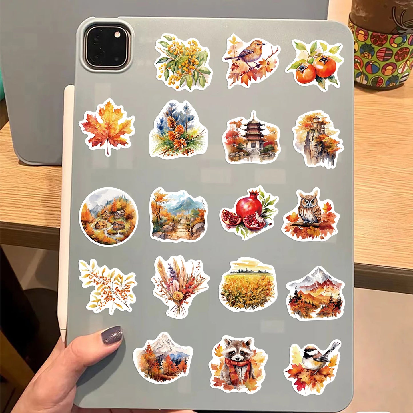 50pcs Thanksgiving Stickers Fall Stickers for Holiday Decoration