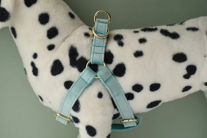 Dog Collar Leash Walking Training Rope Pet Supplies Soft And Durable Use For Golden Retriever Alaskan Malamute Flannelette 29 Dog Collar Leash Walking Training Rope Pet Supplies Soft And Durable Use For Golden Retriever Alaskan Malamute Flannelette 29