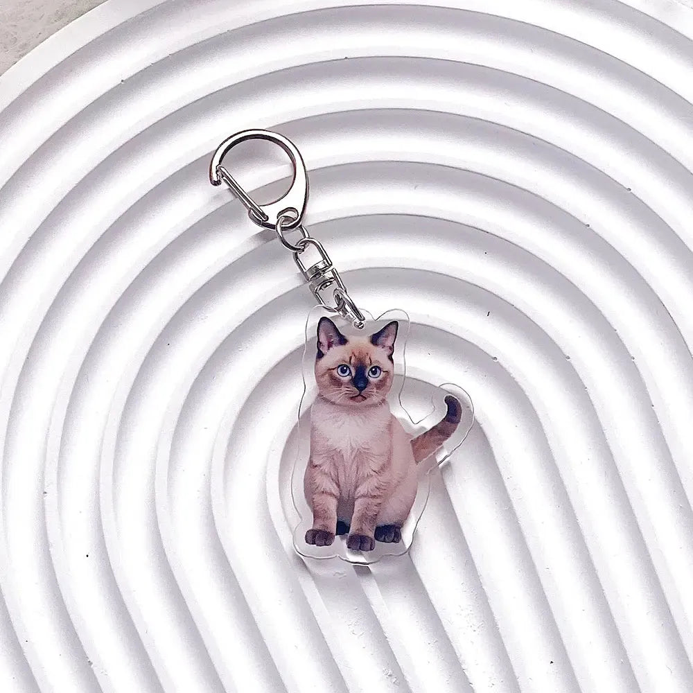 Pet Cat Acrylic Car Keychain Pet Cat Acrylic Car Keychain