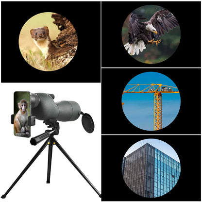 25-75x60 Spotting Scope - Waterproof, Tripod & Phone Adapter for Birding 25-75x60 Binoculars Powerful Zoom Monoculars Waterproof With Tripod Birdwatching Target Shooting Outdoor Travel Camping Use