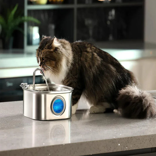 3.2L Stainless Steel Pet Water Feeder Auto 3.2L Stainless Steel Pet Water Feeder Auto