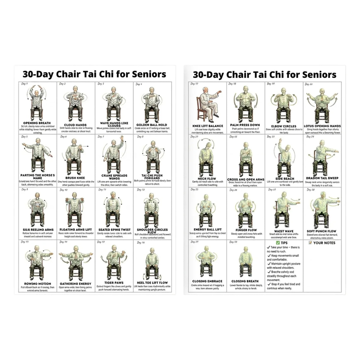 30-Day Tai Chi Exercise Poster for Seniors, Frameless 30-Day Tai Chi Exercise Poster for Seniors, Frameless