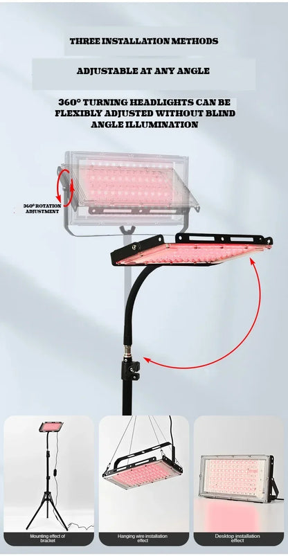 Red Light Therapy for Body