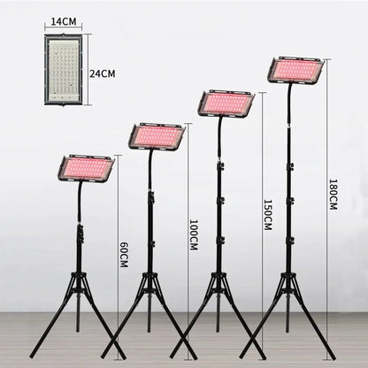 Red Light Therapy for Body
