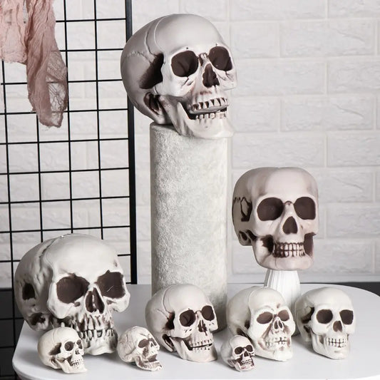 Realistic Skull Head Replica – Halloween Skeleton Decoration & Prop
