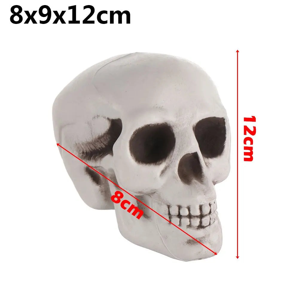 Realistic Skull Head Replica – Halloween Skeleton Decoration & Prop