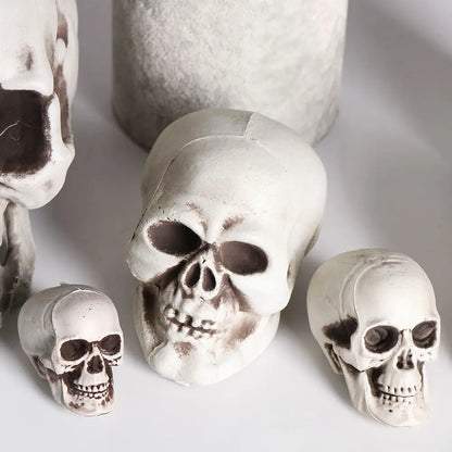 Realistic Skull Head Replica – Halloween Skeleton Decoration & Prop