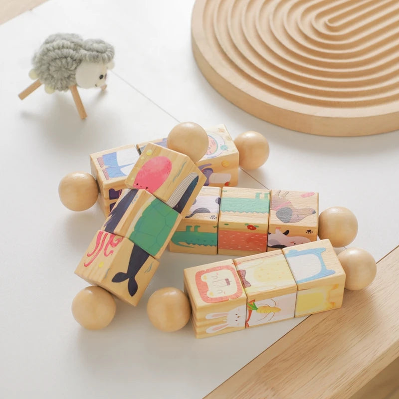 Baby Wooden Montessori Toys