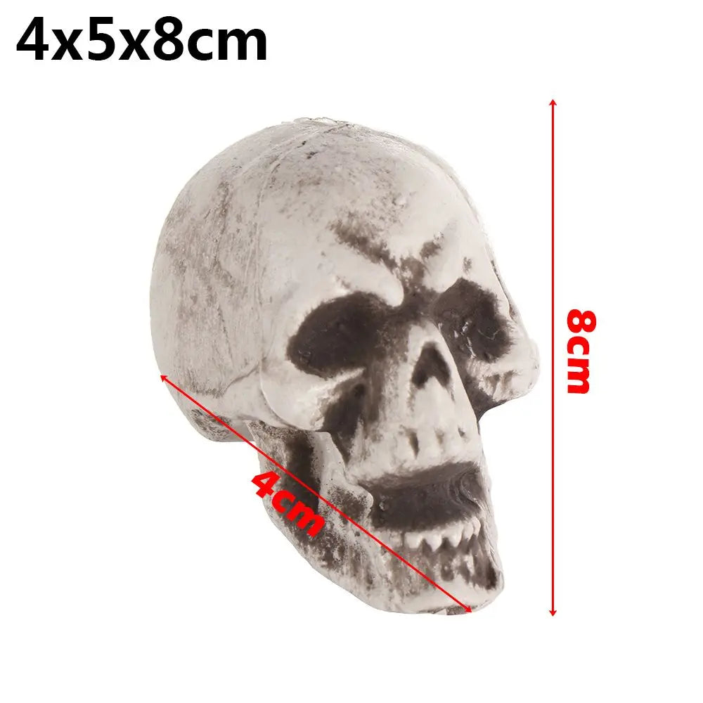 Realistic Skull Head Replica – Halloween Skeleton Decoration & Prop