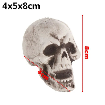 Realistic Skull Head Replica – Halloween Skeleton Decoration & Prop