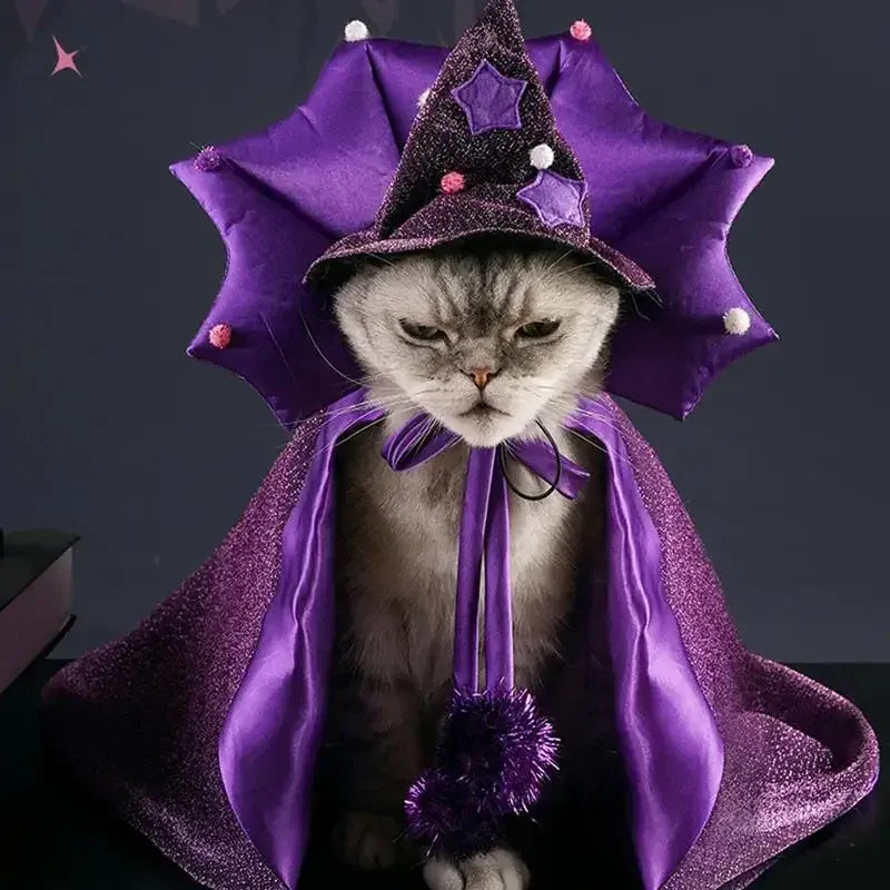 Cat Halloween Costume Comfortable Cat Wizard Outfit Witch Dog Costume Cat Cloak Witch Hat Halloween Dog Cloth For S/M Cats Dogs Cat Halloween Costume Comfortable Cat Wizard Outfit Witch Dog Costume Cat Cloak Witch Hat Halloween Dog Cloth For S/M Cats Dogs