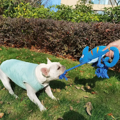 Chameleon Plush Squeaky Dog Toy – Bite-Resistant for All Sizes | Wahooly Chameleon Plush Squeaky Dog Toy – Bite-Resistant Chew Toy for Small & Large Dogs