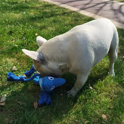 Chameleon Plush Squeaky Dog Toy – Bite-Resistant for All Sizes | Wahooly Chameleon Plush Squeaky Dog Toy – Bite-Resistant Chew Toy for Small & Large Dogs