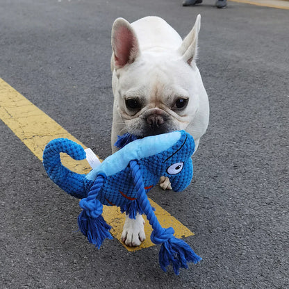 Chameleon Plush Squeaky Dog Toy – Bite-Resistant for All Sizes | Wahooly Chameleon Plush Squeaky Dog Toy – Bite-Resistant Chew Toy for Small & Large Dogs
