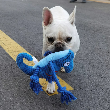 Chameleon Plush Squeaky Dog Toy – Bite-Resistant for All Sizes | Wahooly Chameleon Plush Squeaky Dog Toy – Bite-Resistant Chew Toy for Small & Large Dogs