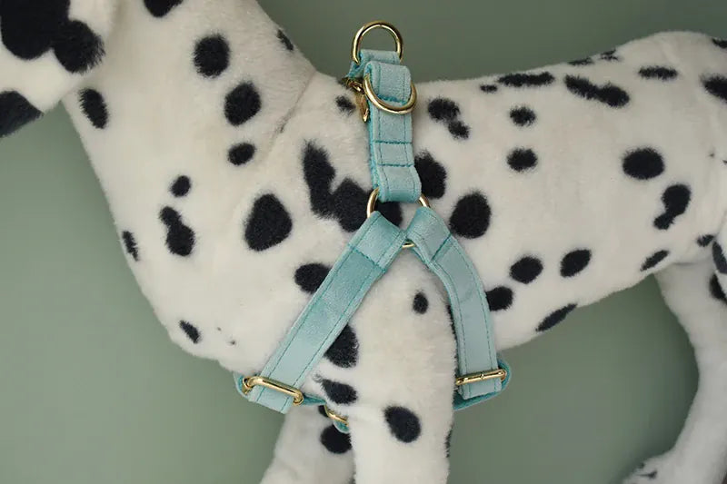 Dog Collar Leash Walking Training Rope Pet Supplies Soft And Durable Use For Golden Retriever Alaskan Malamute Flannelette 29 Dog Collar Leash Walking Training Rope Pet Supplies Soft And Durable Use For Golden Retriever Alaskan Malamute Flannelette 29