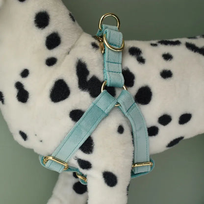 Dog Collar Leash Walking Training Rope Pet Supplies Soft And Durable Use For Golden Retriever Alaskan Malamute Flannelette 29 Dog Collar Leash Walking Training Rope Pet Supplies Soft And Durable Use For Golden Retriever Alaskan Malamute Flannelette 29