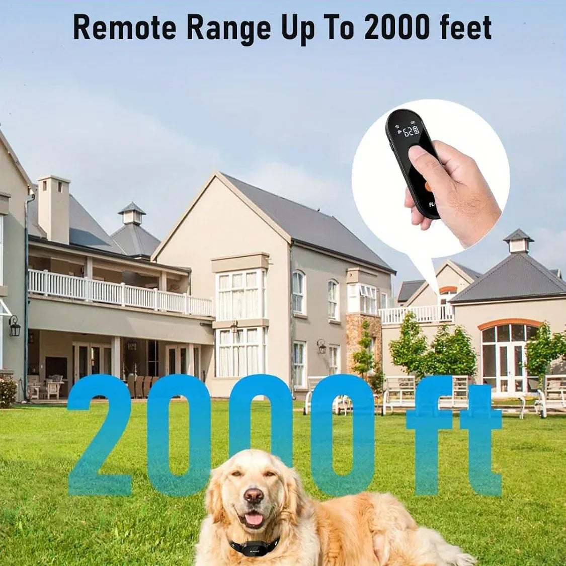Dog Training Collar with Remote Dog Training Collar with Remote