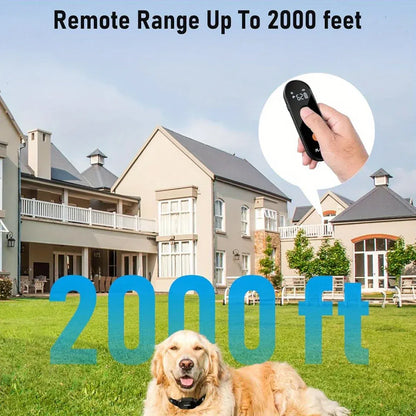 Dog Training Collar with Remote Dog Training Collar with Remote