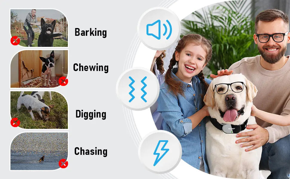 Dog Training Collar with Remote Dog Training Collar with Remote
