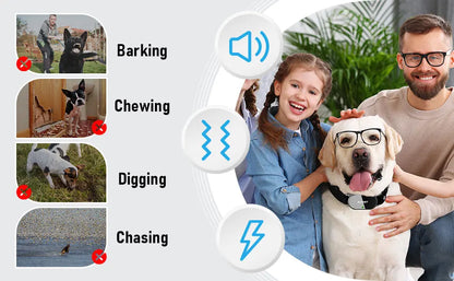 Dog Training Collar with Remote Dog Training Collar with Remote