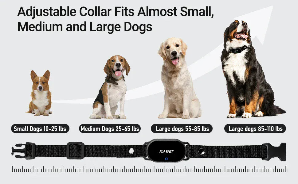 Dog Training Collar with Remote Dog Training Collar with Remote
