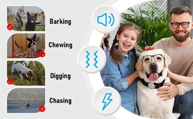 Dog Training Collar with Remote Dog Training Collar with Remote