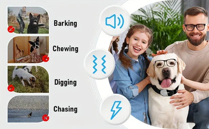 Dog Training Collar with Remote Dog Training Collar with Remote