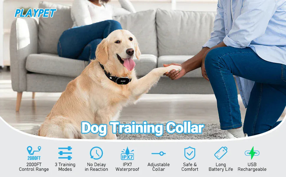 Dog Training Collar with Remote Dog Training Collar with Remote