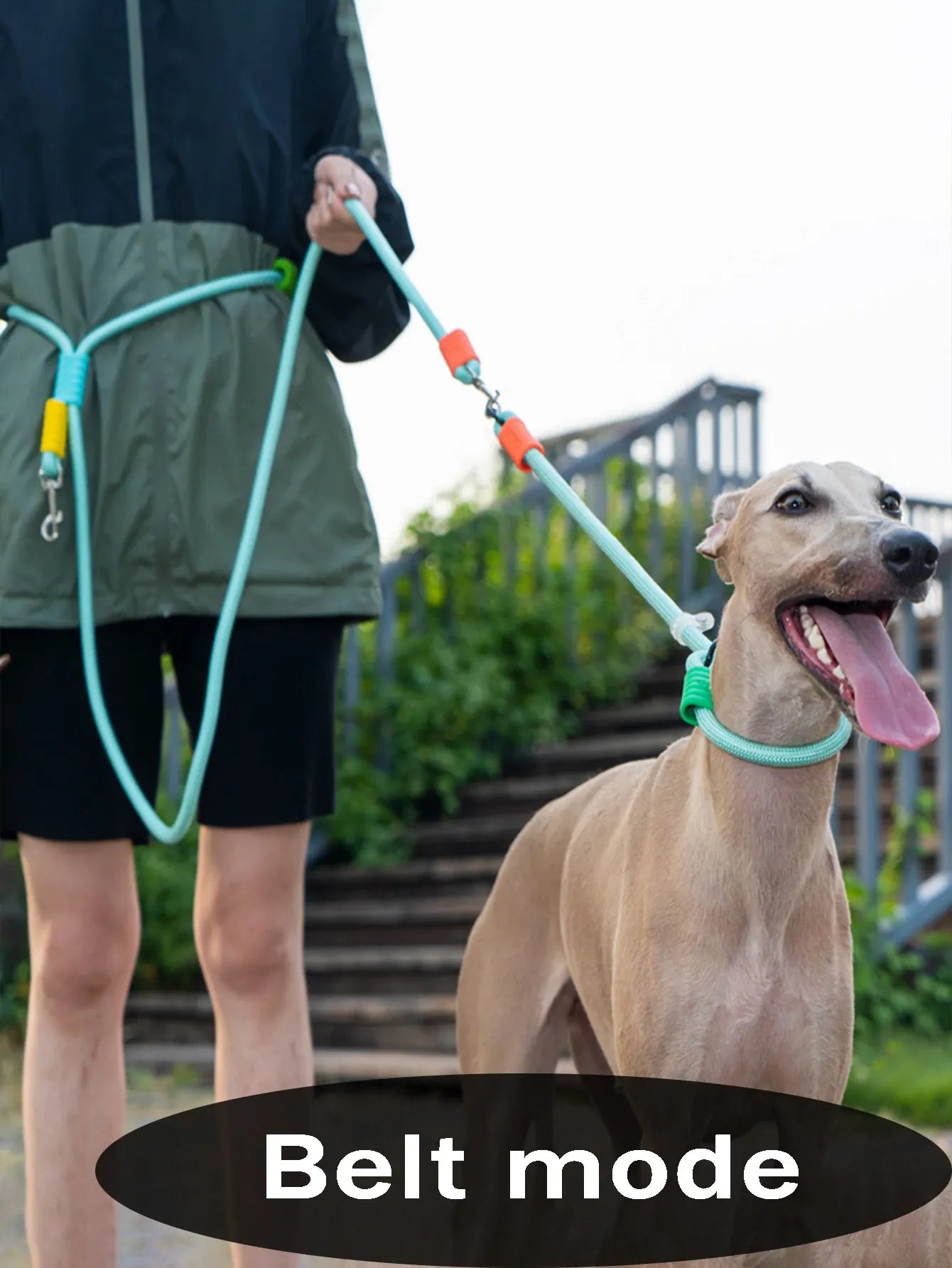 Double Dog Leash – Walk Two Dogs at Once with Coupler & P-Chain | Wahooly Double Dog Leash – Walk Two Dogs at Once with One-to-Two Coupler & P-Chain