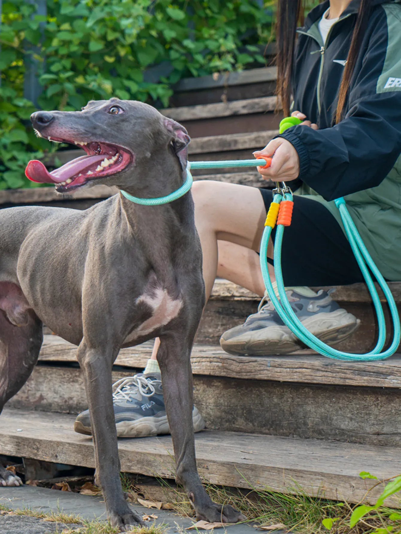 Double Dog Leash – Walk Two Dogs at Once with Coupler & P-Chain | Wahooly Double Dog Leash – Walk Two Dogs at Once with One-to-Two Coupler & P-Chain
