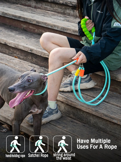 Double Dog Leash – Walk Two Dogs at Once with Coupler & P-Chain | Wahooly Double Dog Leash – Walk Two Dogs at Once with One-to-Two Coupler & P-Chain