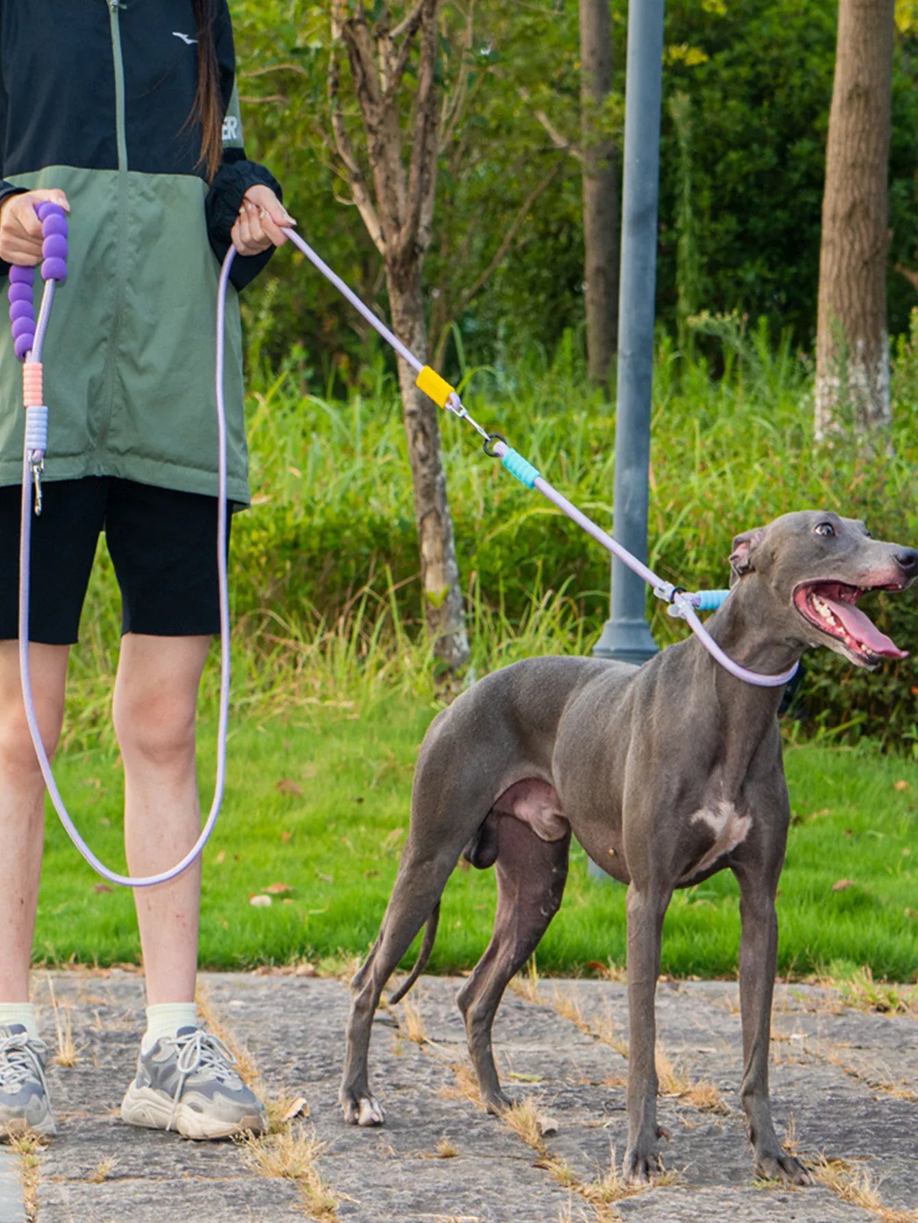 Double Dog Leash – Walk Two Dogs at Once with Coupler & P-Chain | Wahooly Double Dog Leash – Walk Two Dogs at Once with One-to-Two Coupler & P-Chain