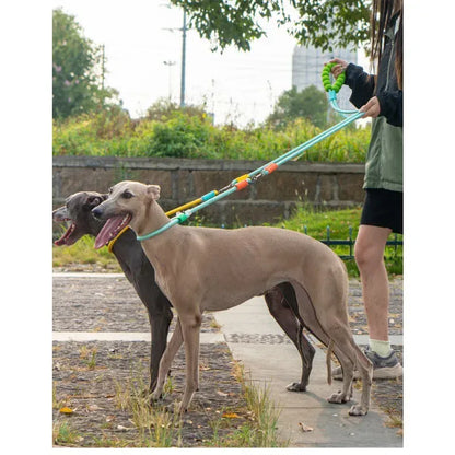 Double Dog Leash – Walk Two Dogs at Once with Coupler & P-Chain | Wahooly Double Dog Leash – Walk Two Dogs at Once with One-to-Two Coupler & P-Chain