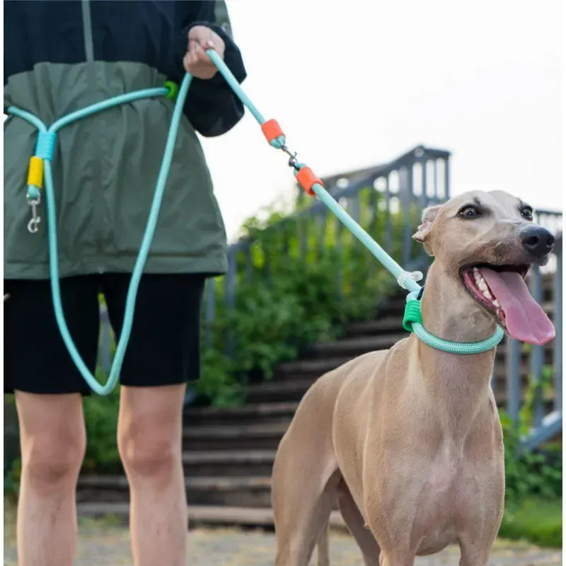 Double Dog Leash – Walk Two Dogs at Once with Coupler & P-Chain | Wahooly Double Dog Leash – Walk Two Dogs at Once with One-to-Two Coupler & P-Chain