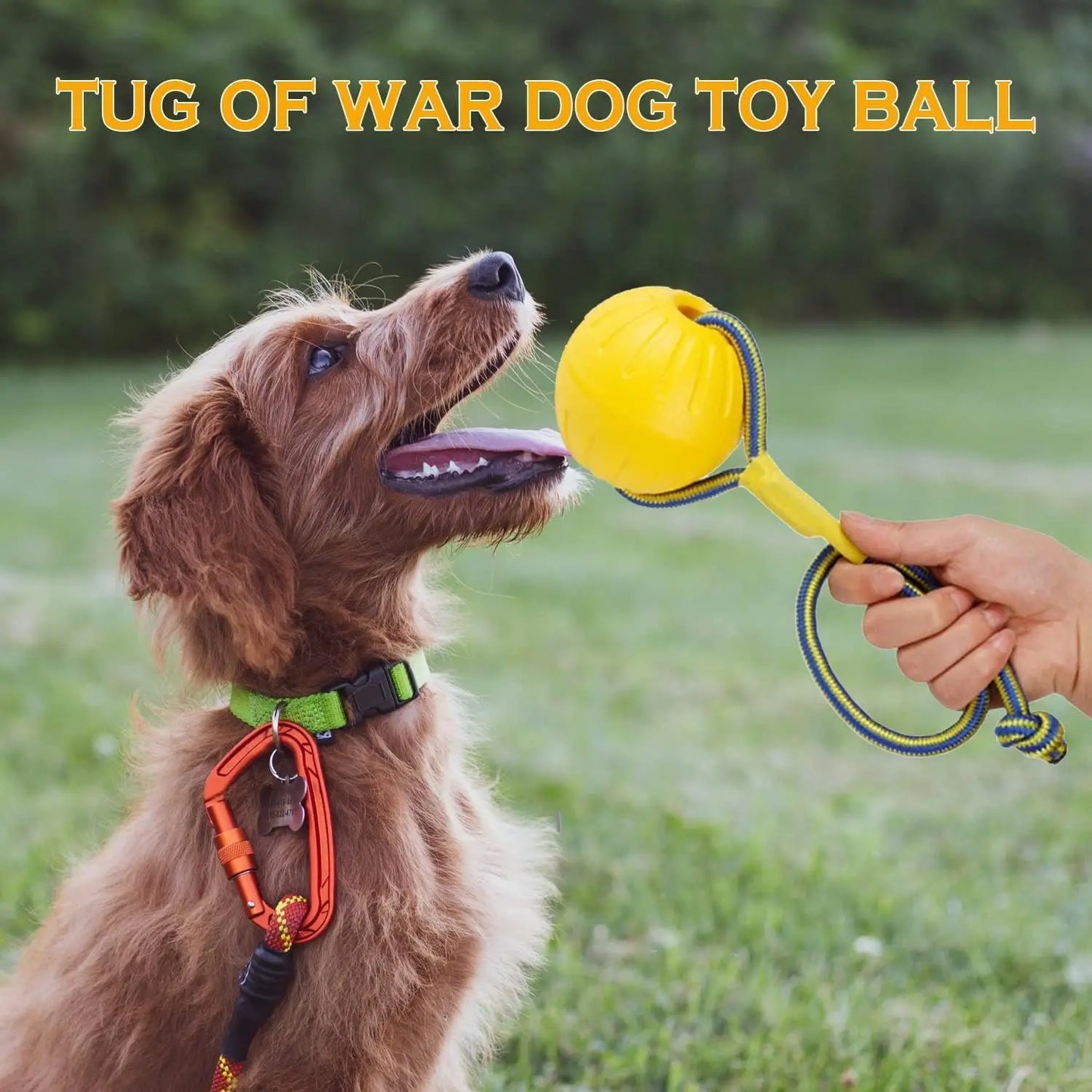 EVA Dog Rope Ball – Bite-Resistant Floating Tug Toy | Wahooly EVA Dog Rope Ball – Bite-Resistant, Floating & Teeth-Cleaning Tug Toy