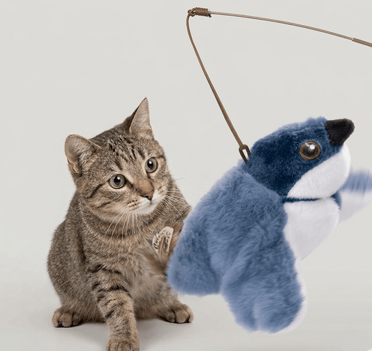 Flapping Bird Cat  Toy Flapping Bird Cat  Toy