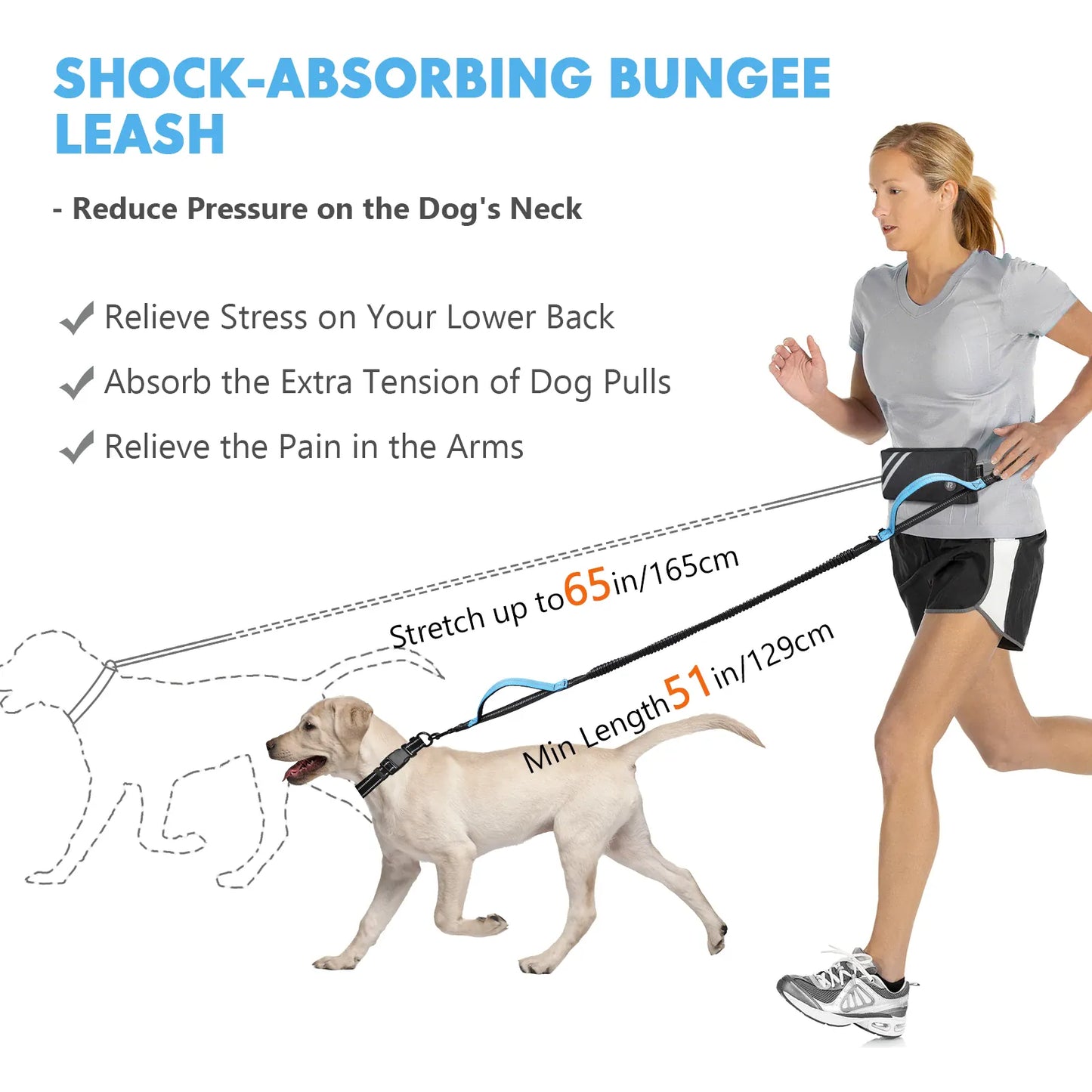 Hands-Free Bungee Dog Leash with Zipper Pouch & Dual Handles | Wahooly Hands-Free Bungee Dog Leash with Zipper Pouch & Dual Padded Handles – Walk, Jog & Run