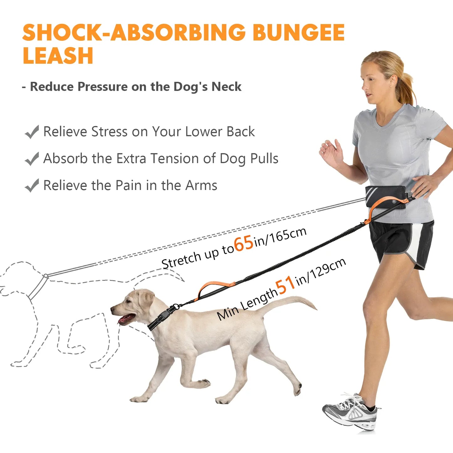 Hands-Free Bungee Dog Leash with Zipper Pouch & Dual Handles | Wahooly Hands-Free Bungee Dog Leash with Zipper Pouch & Dual Padded Handles – Walk, Jog & Run