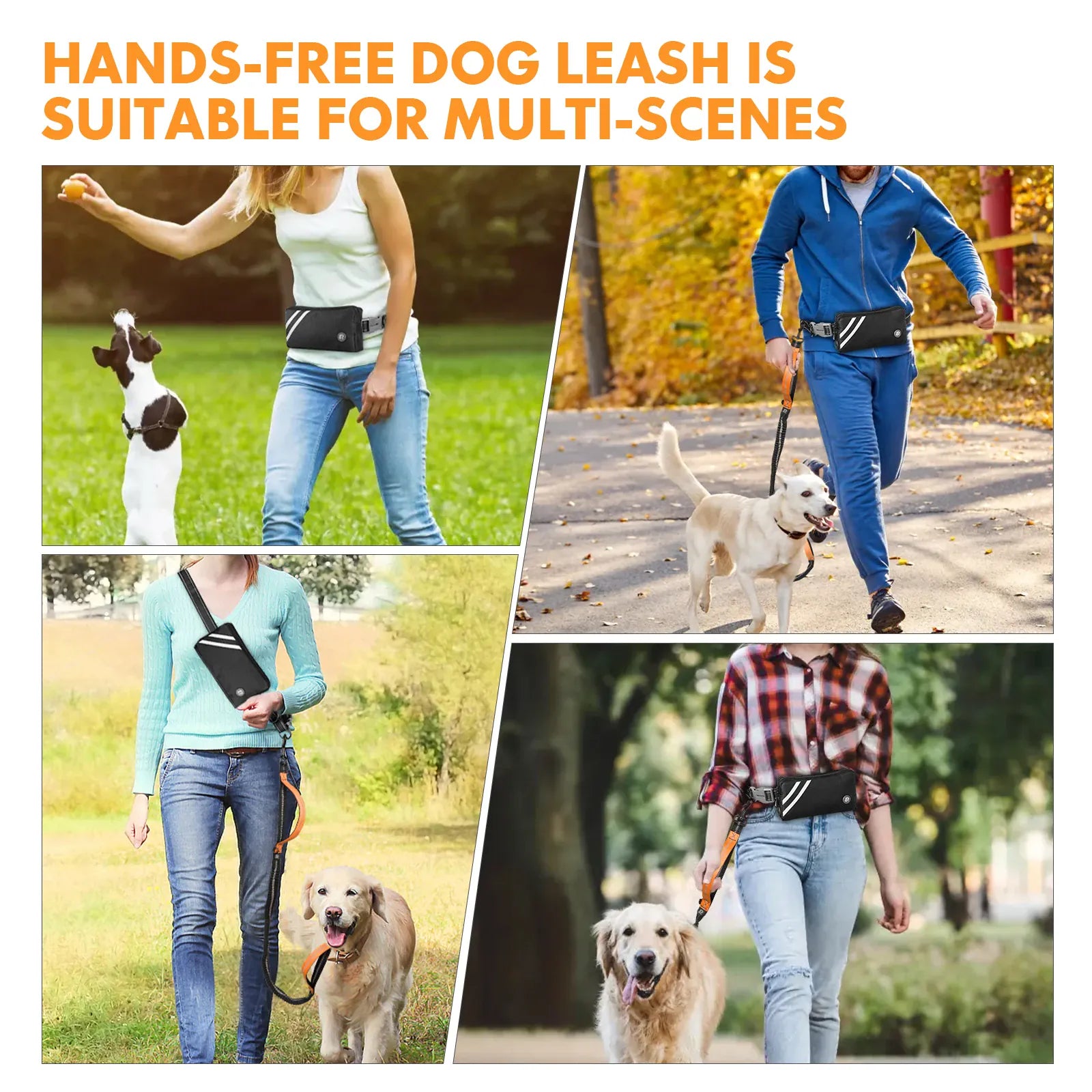 Hands-Free Bungee Dog Leash with Zipper Pouch & Dual Handles | Wahooly Hands-Free Bungee Dog Leash with Zipper Pouch & Dual Padded Handles – Walk, Jog & Run