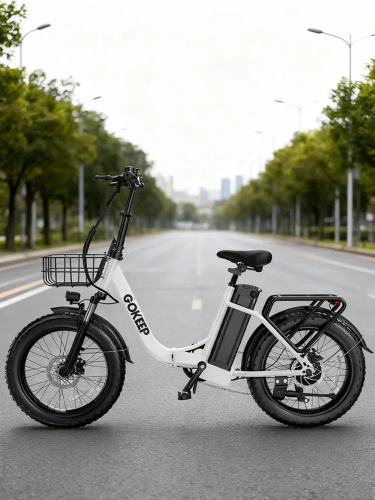 L20  E-Bike 750W motor 48V10AH folding mountain Electric Bicycle Mechanical brake 20*3-inch tire urban commuting Electric  Bike L20  E-Bike 750W motor 48V10AH folding mountain Electric Bicycle Mechanical brake 20*3-inch tire urban commuting Electric  Bike