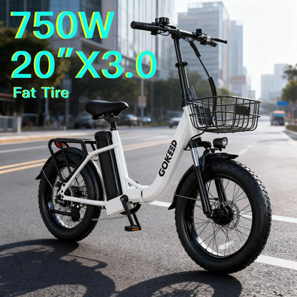 L20  E-Bike 750W motor 48V10AH folding mountain Electric Bicycle Mechanical brake 20*3-inch tire urban commuting Electric  Bike L20  E-Bike 750W motor 48V10AH folding mountain Electric Bicycle Mechanical brake 20*3-inch tire urban commuting Electric  Bike