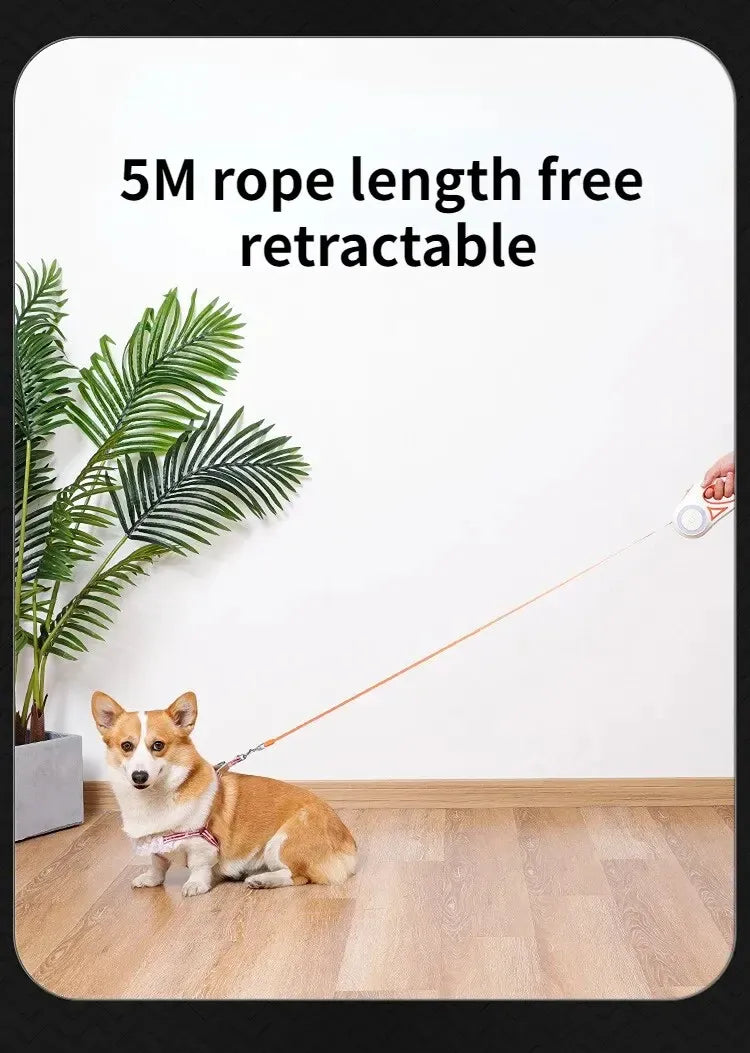 LED Retractable Dog Leash with Flashlight & RGB Ring – 3m & 5m | Wahooly LED Retractable Dog Leash with Flashlight & RGB Light Ring – 3m & 5m