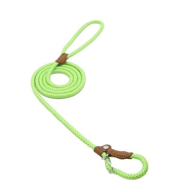 Nylon Pup Set Nylon Pup Set