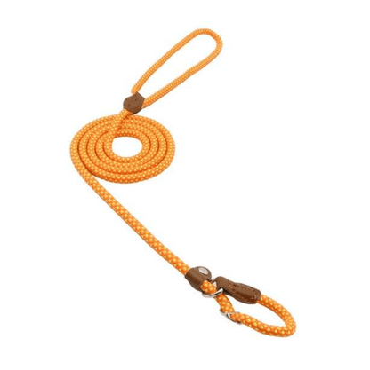 Nylon Pup Set Nylon Pup Set