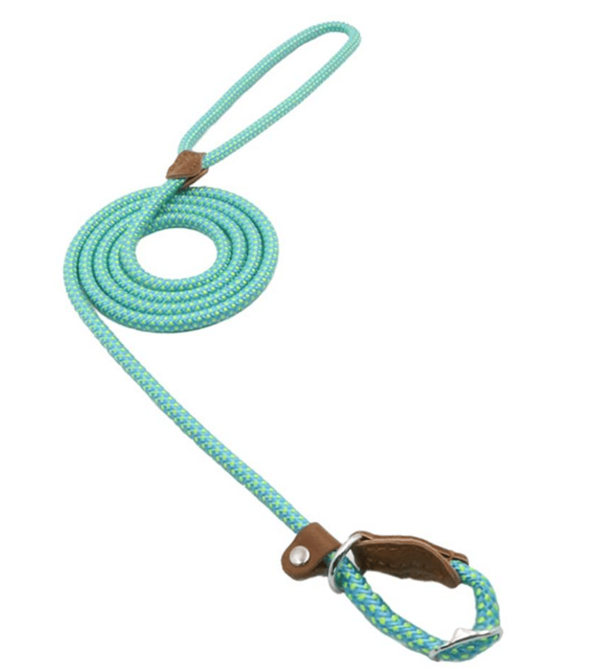 Nylon Pup Set Nylon Pup Set