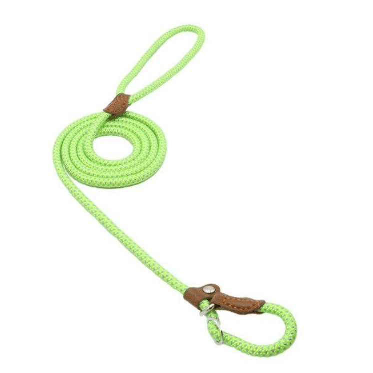 Nylon Pup Set Nylon Pup Set