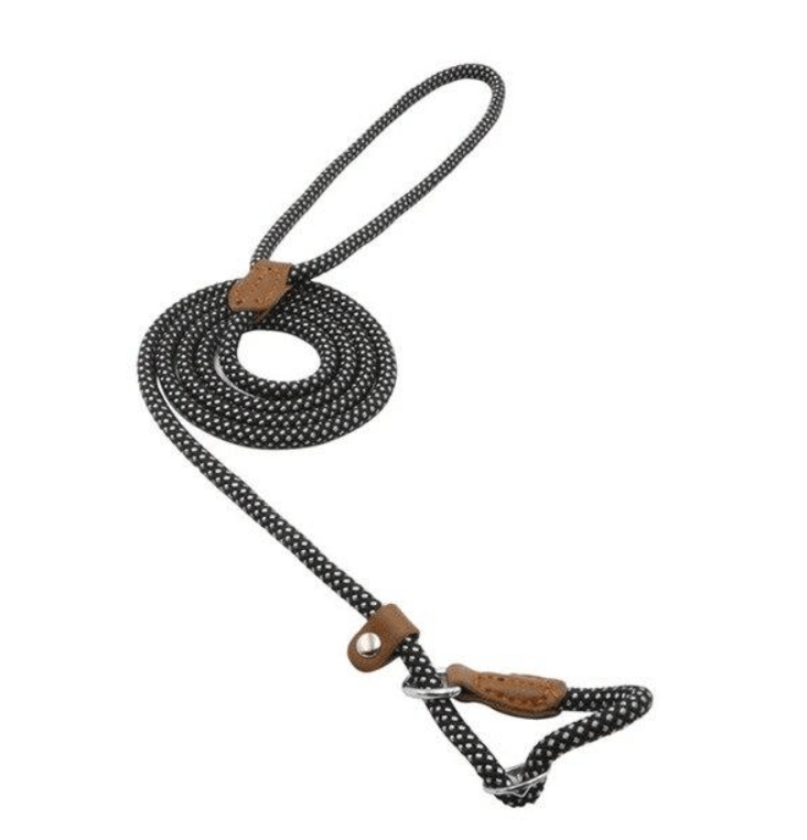 Nylon Pup Set Nylon Pup Set