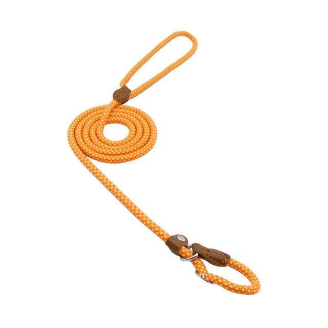 Nylon Pup Set Nylon Pup Set