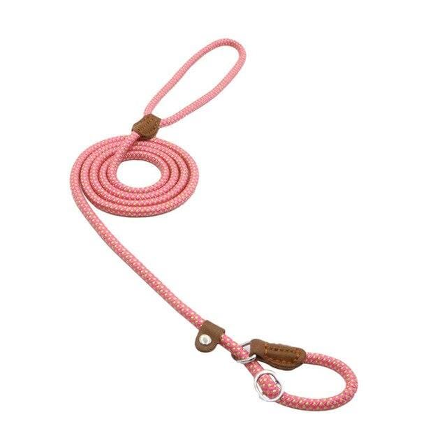 Nylon Pup Set Nylon Pup Set
